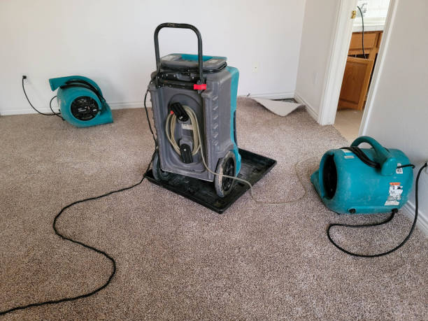 Best Flooded house restoration  in Price, UT