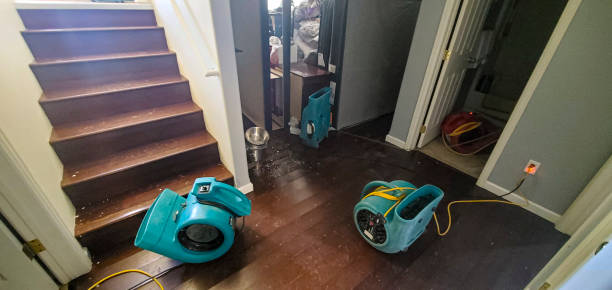 Best Mold removal after water damage  in Price, UT