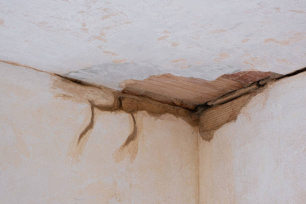 Best Residential water damage restoration  in Price, UT