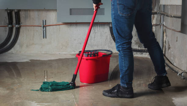 Best Water damage restoration insurance claims  in Price, UT