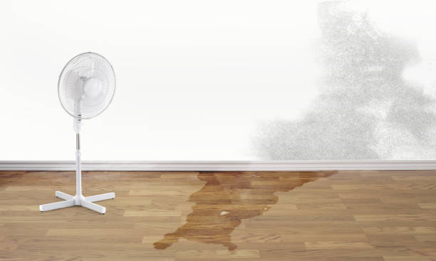 Best Fire Damage Restoration  in Price, UT
