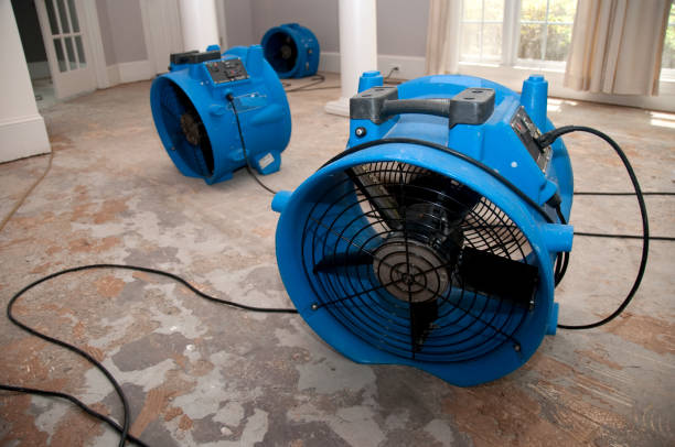 Water damage restoration insurance claims in UT