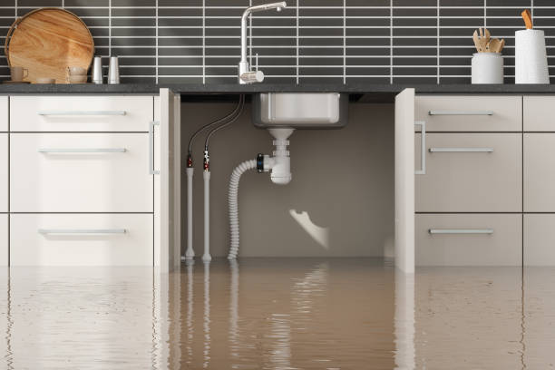 Best Water damage restoration company  in Price, UT